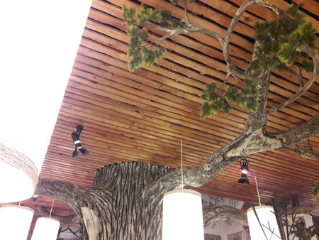 450x338  53 KB. Big one: 4128x3096  2003 KB