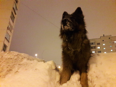 450x338  51 KB. Big one: 4128x3096  1439 KB