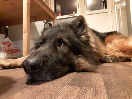 450x338  52 KB. Big one: 2576x1932  811 KB