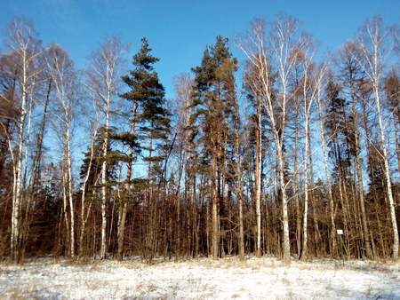 450x338  87 KB. Big one: 3264x2448  4183 KB