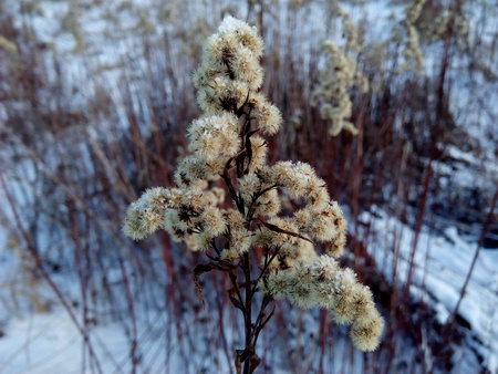 450x338  59 KB. Big one: 3264x2448  2442 KB