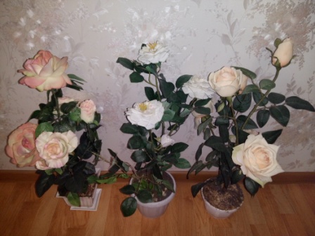 448x336  66 KB. Big one: 4160x3120  3465 KB