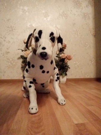 336x448  55 KB. Big one: 1920x2560  979 KB