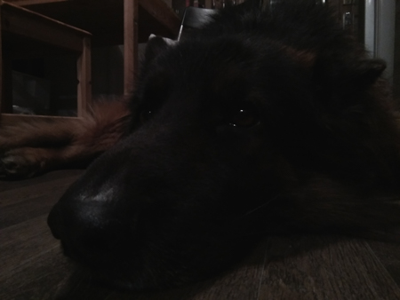 450x338  58 KB. Big one: 2592x1944  236 KB