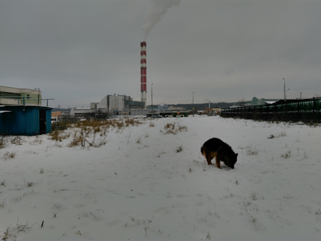 450x338  53 KB. Big one: 4160x3120  998 KB