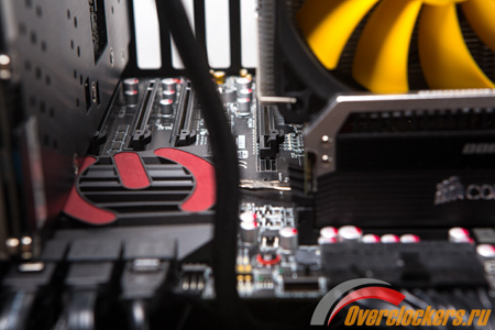 450x300  110 KB. Big one: 1500x1000  217 KB