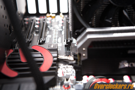 450x300  106 KB. Big one: 1500x1000  208 KB