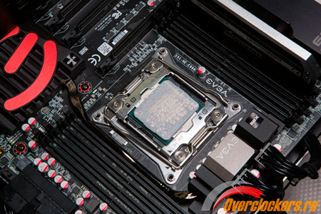 450x300  429 KB. Big one: 1500x1000  3834 KB