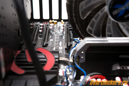 450x300  108 KB. Big one: 1500x1000  216 KB