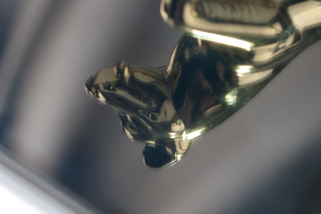 450x300  49 KB. Big one: 1272x848  240 KB