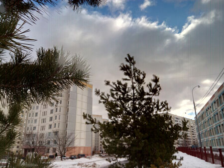 450x338  51 KB. Big one: 4928x3696  3445 KB