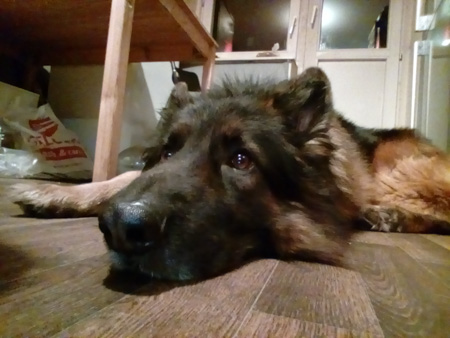 450x338  57 KB. Big one: 2560x1920  478 KB