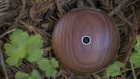 450x255  55 KB. Big one: 1500x849  412 KB