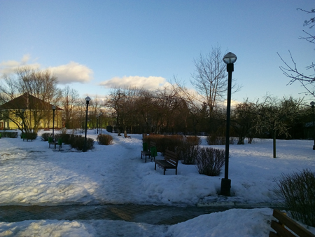 450x338  142 KB. Big one: 3264x2448  2595 KB