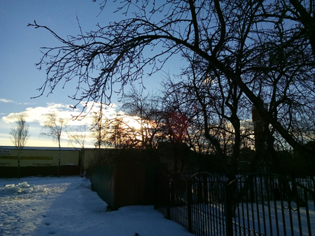 450x338  201 KB. Big one: 3264x2448  3449 KB