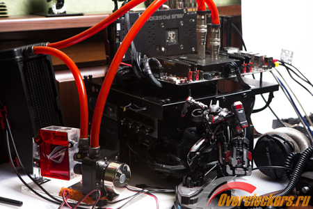 450x300  148 KB. Big one: 1500x1000  340 KB