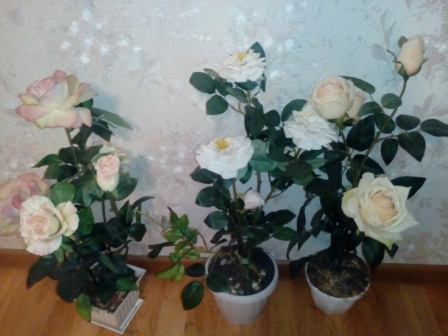 448x336  62 KB. Big one: 3264x2448  1462 KB