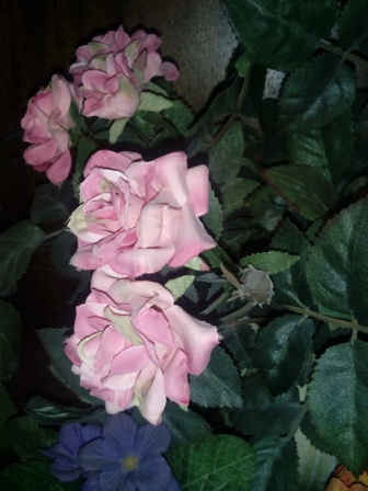 336x448  64 KB. Big one: 2448x3264  1935 KB