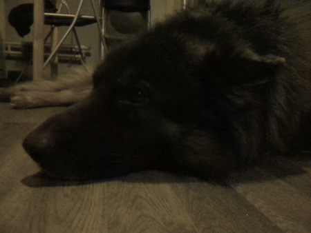 450x338  59 KB. Big one: 1600x1200  184 KB