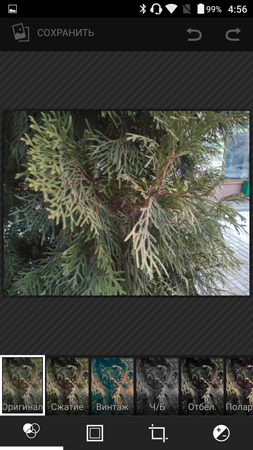 253x450  168 KB. Big one: 844x1500  1310 KB