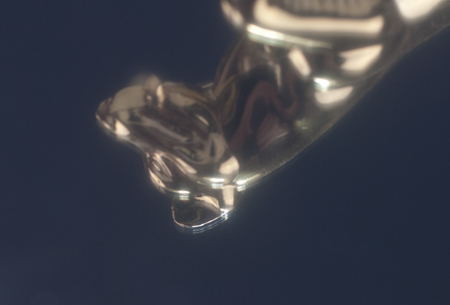 450x305  55 KB. Big one: 1500x1017  460 KB