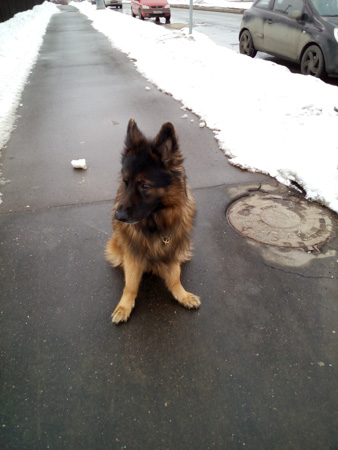 338x450  54 KB. Big one: 3120x4160  1693 KB