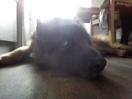 450x338  41 KB. Big one: 2560x1920  484 KB