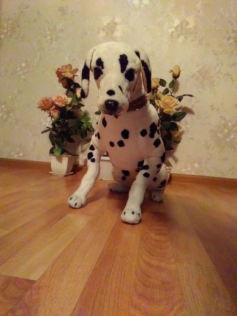 336x448  51 KB. Big one: 1944x2592  1058 KB