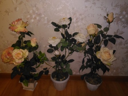 448x336  53 KB. Big one: 4096x3072  2315 KB