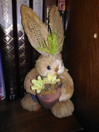 336x448  56 KB. Big one: 3072x4096  2264 KB