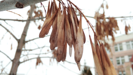 450x253  48 KB. Big one: 4864x2736  998 KB