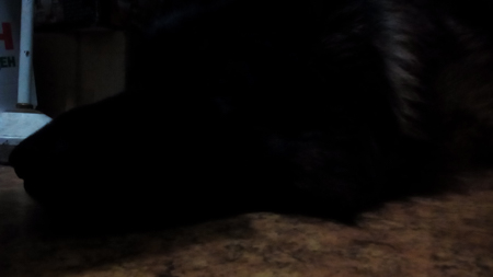 450x253  35 KB. Big one: 3072x1728  203 KB