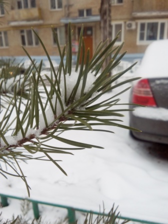 336x448  61 KB. Big one: 2448x3264  1697 KB