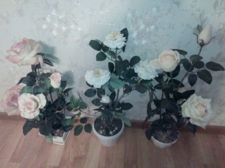 448x336  59 KB. Big one: 3264x2448  2632 KB