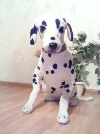 336x448  51 KB. Big one: 1920x2560  1369 KB