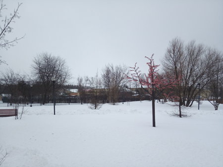 450x338  105 KB. Big one: 4160x3120  3462 KB