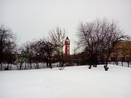 450x338  132 KB. Big one: 4608x3456  5180 KB