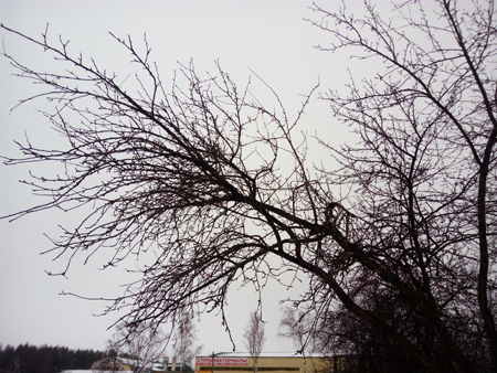 450x338  217 KB. Big one: 4608x3456  6154 KB