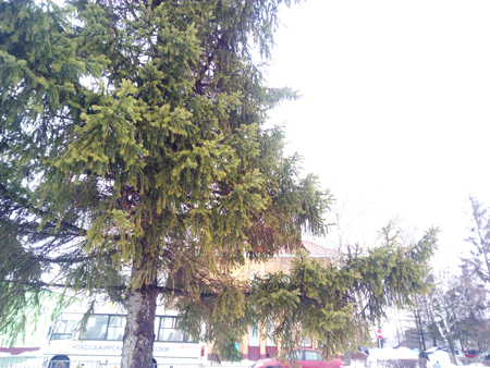 450x338  208 KB. Big one: 4608x3456  6463 KB