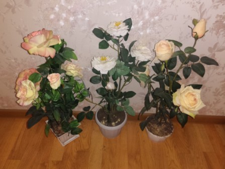 448x336  48 KB. Big one: 4160x3120  1640 KB