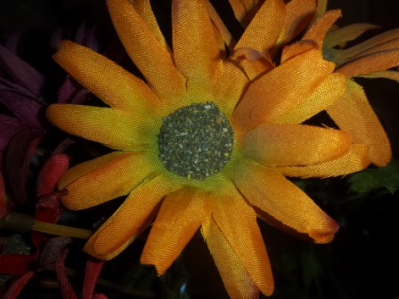 448x336  51 KB. Big one: 4160x3120  2977 KB