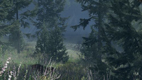 500x281  35 KB. Big one: 3840x2160  14736 KB