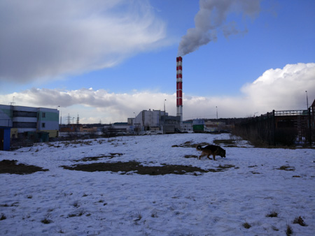 450x338  55 KB. Big one: 4608x3456  1899 KB