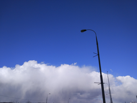 450x338  44 KB. Big one: 4608x3456  1006 KB