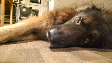 450x253  55 KB. Big one: 2688x1512  651 KB