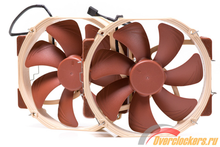 450x300  109 KB. Big one: 1500x1001  269 KB