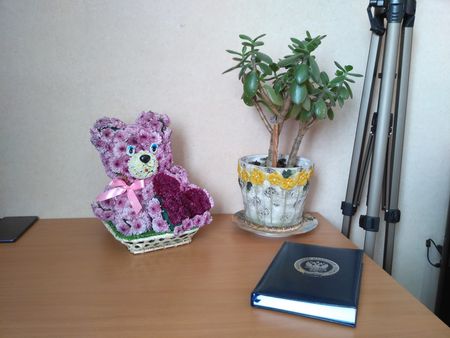 450x338  39 KB. Big one: 4160x3120  3007 KB