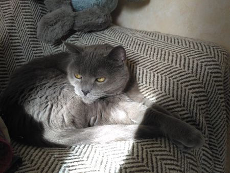 450x338  52 KB. Big one: 4160x3120  4767 KB