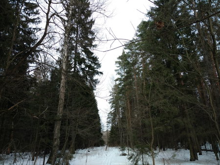 450x338  74 KB. Big one: 5344x4008  9373 KB