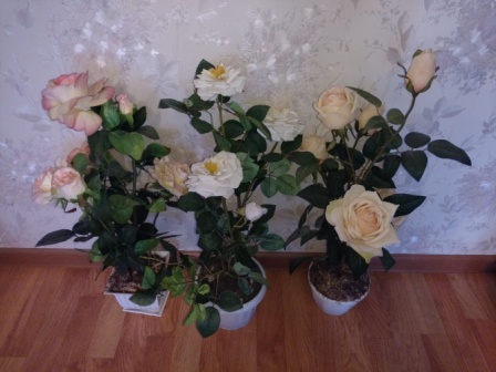 448x336  66 KB. Big one: 5344x4008  7160 KB